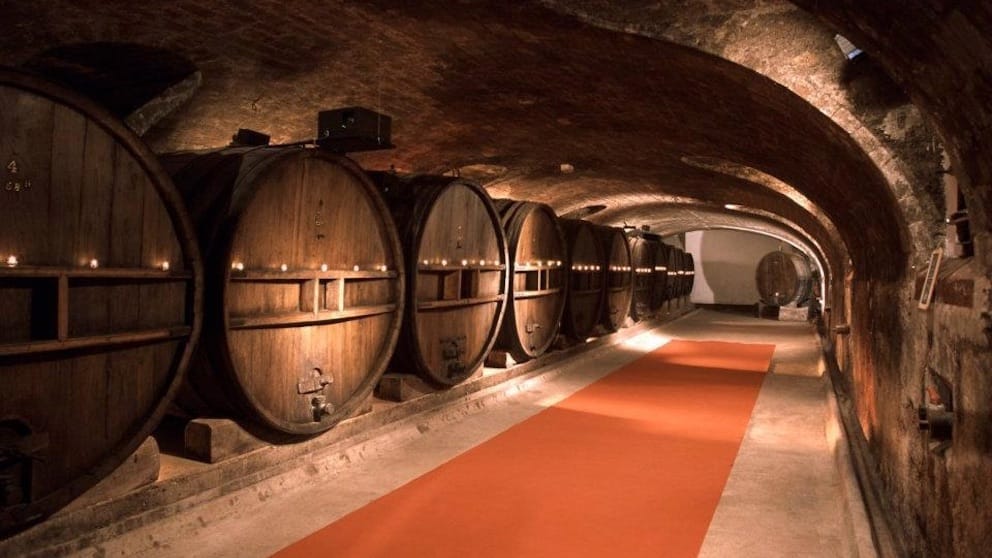 Cellar of the Château de Saint Martin vineyard